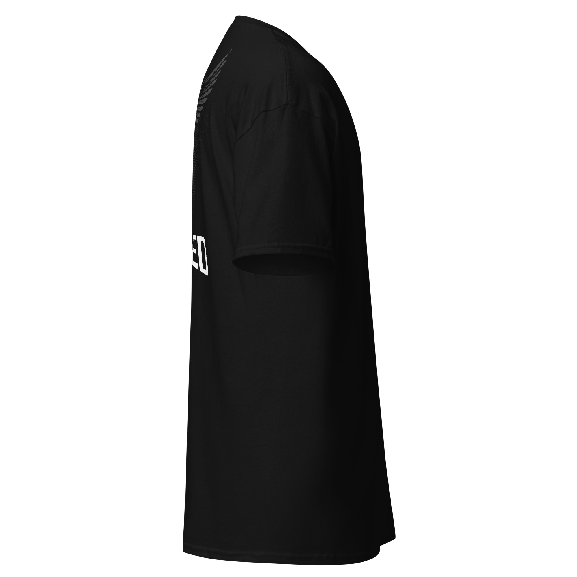 Divine Descending - Image 2